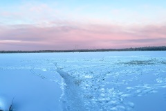 F1B13FE0-FE75-4FD6-8E8F-521BE54B6D6A