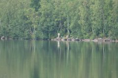 untitled-14-of-70-scaled