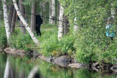 untitled-18-of-70-scaled