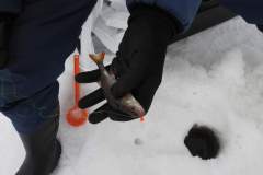 FB_IMG_1714671010331