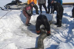1_Kirjolohta_08042009-014