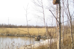 1_VLKM-2