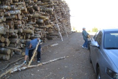 Puutalkoot_08082006