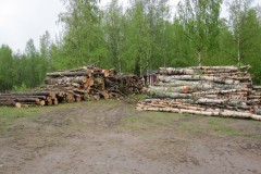 VLKM_Polttopuutalkoot_25052010-002